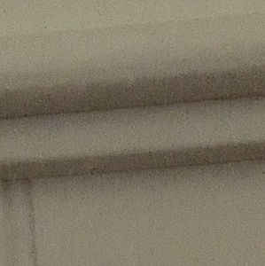 Meet your Posher, Owen